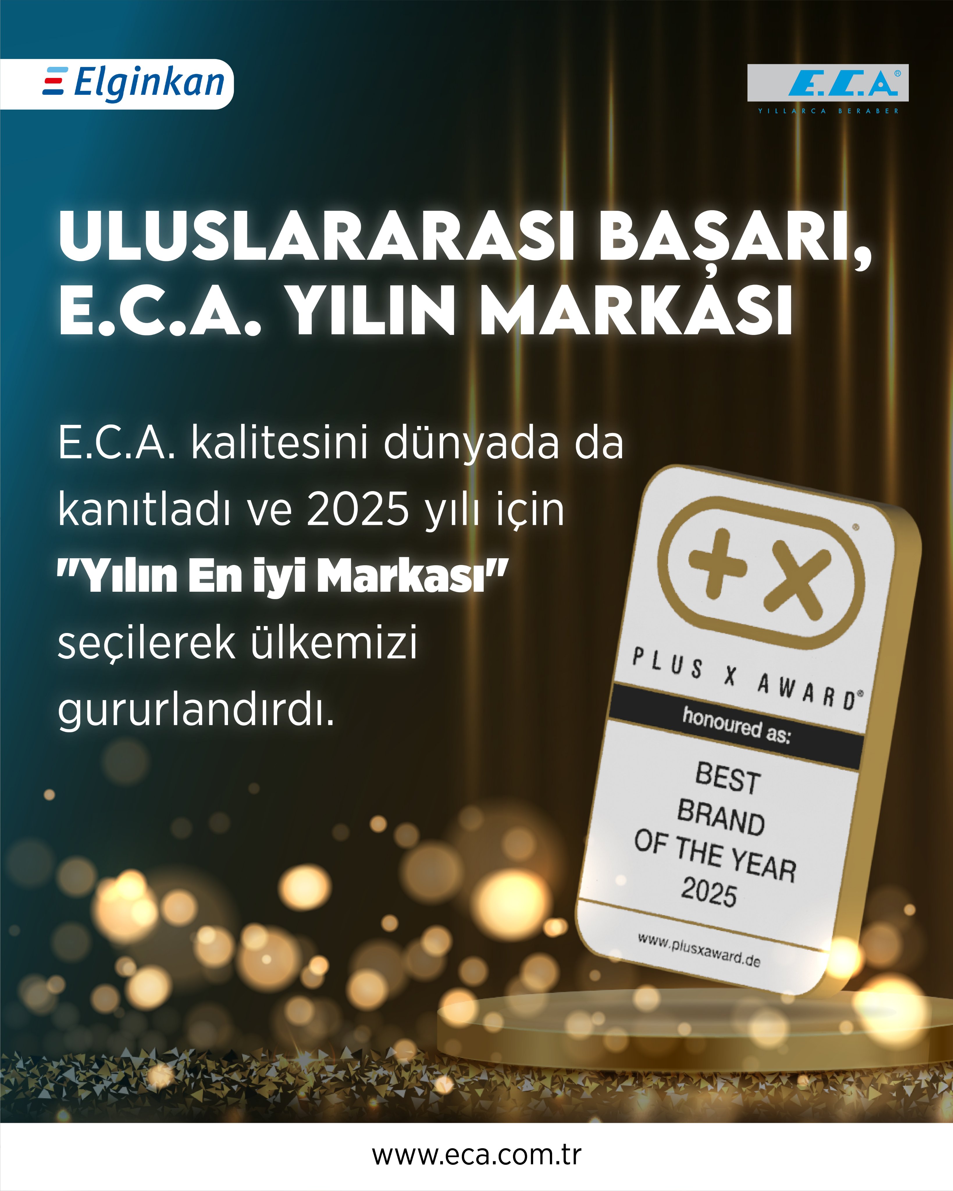 ULUSLARARASI BAŞARI, E.C.A. YILIN MARKASI