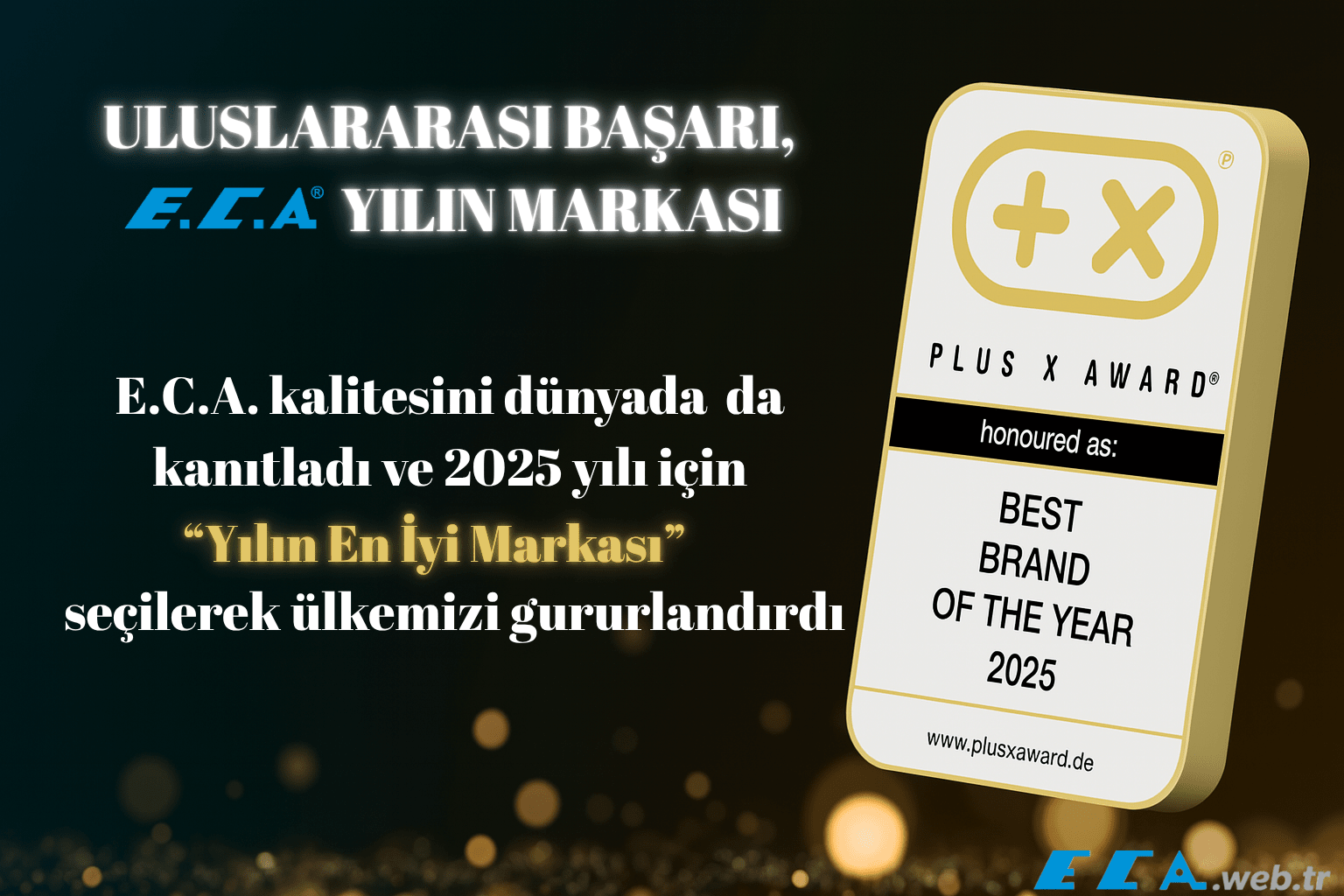 E.C.A Yılın Başarısı